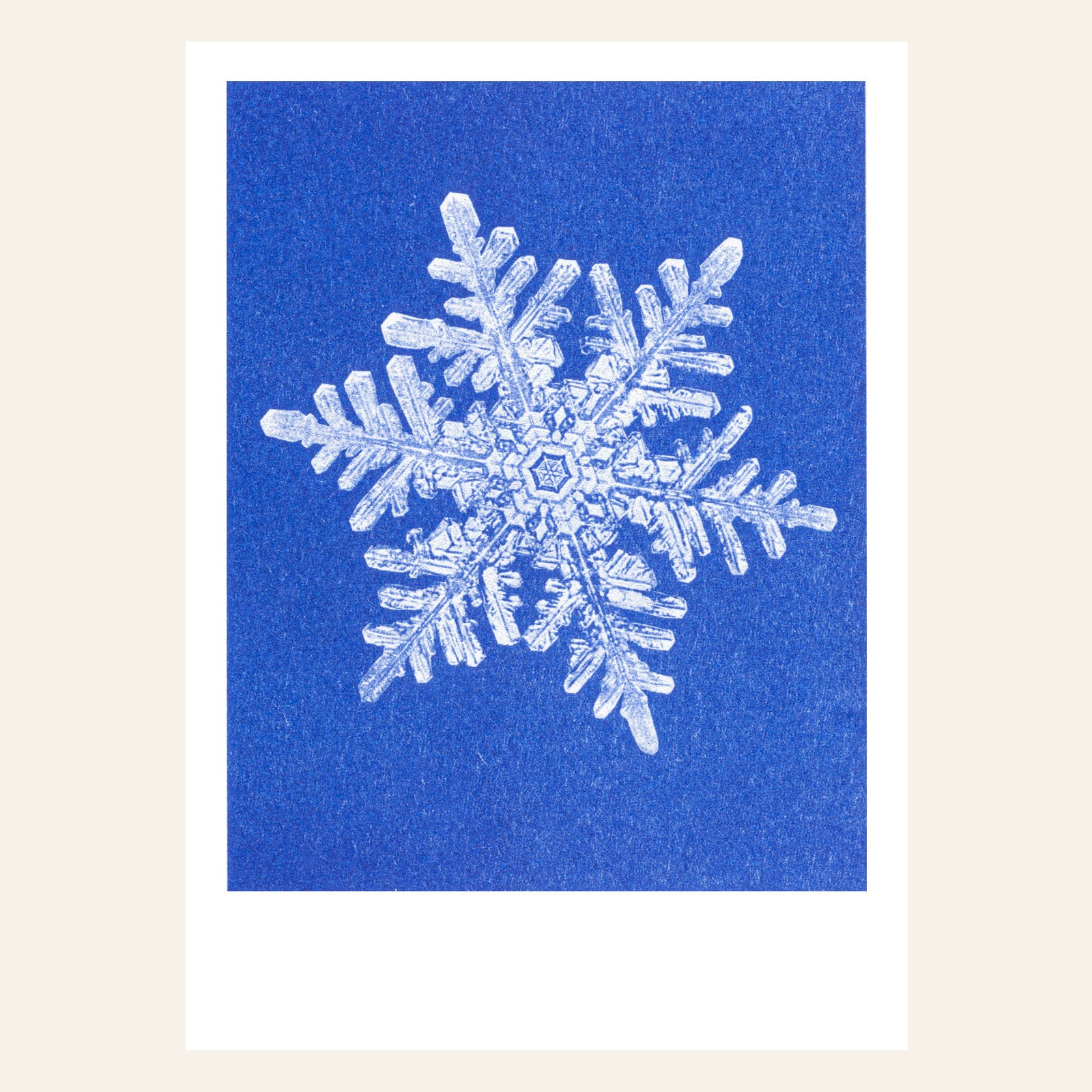 Postkarte Weihnachtszeit Risographie von Herr und Frau Rio bei Wilhelm die 3.