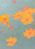 Postkarte Risographie Blumen von Herr und Frau Rio bei Wilhelm die 3.