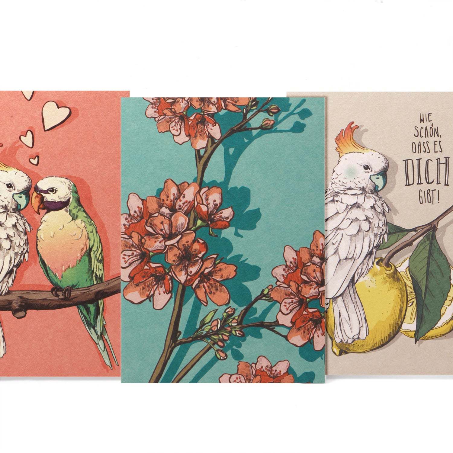 Postkarte von Illi bei Wilhelm die 3.