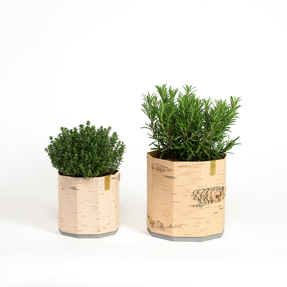 Übertopf aus Birkenrinde von Anastasiya Koshcheeva bei Wilhelm die 3.