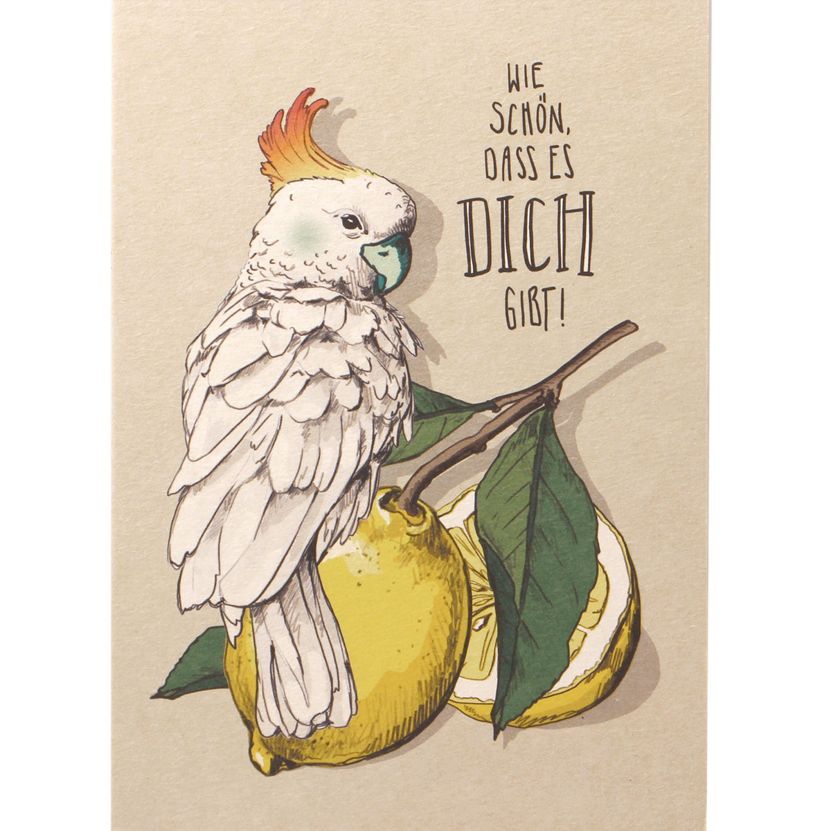 Postkarte von Illi bei Wilhelm die 3.